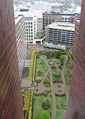 rooftop garden